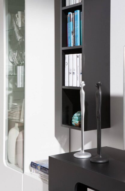 Bibliotecă living Tania, alb + negru - imagine 2