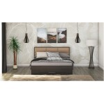 Pat Solano, lemn wenge cu tablie tapitata camel - frontal